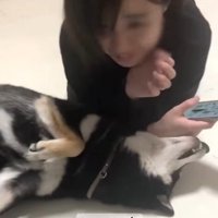 スマホを押しのけて「僕を見て」とアピール