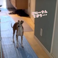 隠しきれない戸惑い