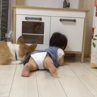 必死に手を伸ばします