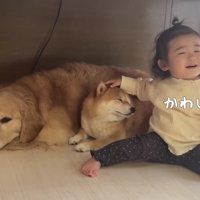 思わずニッコリのほのちゃん