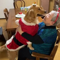 サンタの服を着た大型犬とおばあちゃん