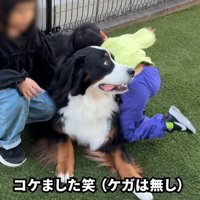 甥っ子くんが転倒すると…