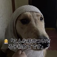 先生も見たことがなかったようで…