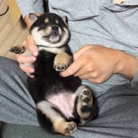 人と触れ合う練習中
