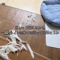 散らかっている紙