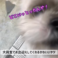 てんぽさんの熱烈歓迎5