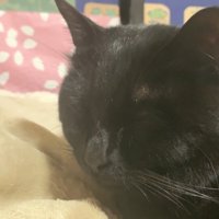 天ちゃんは熟睡中