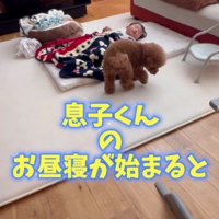 息子さんのお昼寝が始まると…