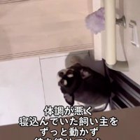 心配で待機していた