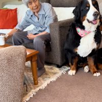 驚いたようなリンちゃん