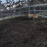 「今洗ったばかりなのに〜！」