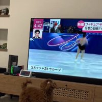 ソファで寛いでいたら…