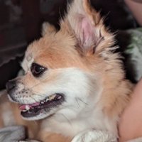 ママが戻ってきてから…