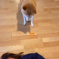 「それじゃないの！！」