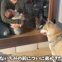 赤ちゃんの姿を見て満足♪