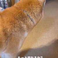 「右の部屋ね…」