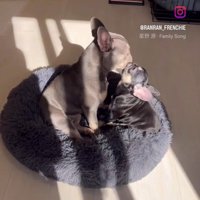 ととまる君＆らんまる君2