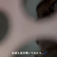 中の様子を確認してみたら…