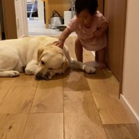 「跨ぐけどごめんね」