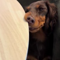 鼻が折れ曲がっていた