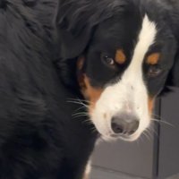 「なんなんこいつ…」