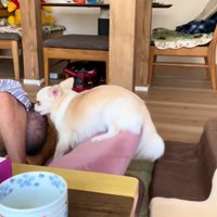 愛を受け止めるおじいちゃん