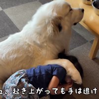 守っているつもりかも♡