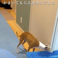 年に一度の楽しみが…