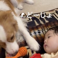 早く一緒に遊びたいね