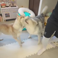 もめている間に赤ちゃんは…