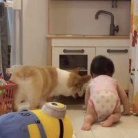 取れるかな？