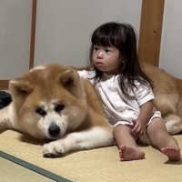 畳に顔を伏せる犬と子ども