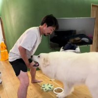 ニンマリするとと丸ちゃん