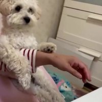 人間のような座り方
