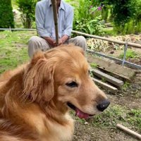 ちょっと危ない…？