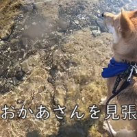 心配そう…！