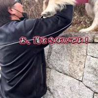ちょっぴり怖がっています