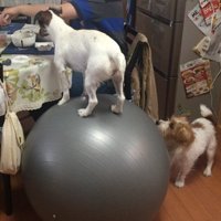 いつまでも乗っていられるよ♪