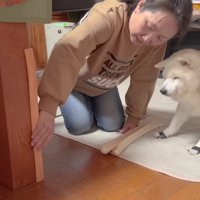 怪我防止のクッションを取付