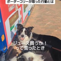 ジッピーくんの気遣い9