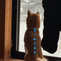 リクくんにハプニング発生⑩