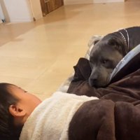 よりそうハルクくん