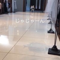 リングドッグに挑戦する豆助座衛門くん