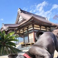 木蔭くんが上半身を低くして…