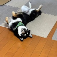 「これは着たくない！！」