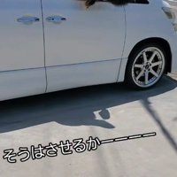 車内への侵入成功♪