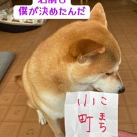 僕が命名したんだよ
