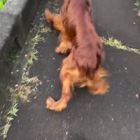 おばあちゃんにも挨拶♡