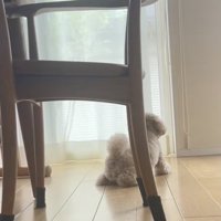 「もうだめ…」