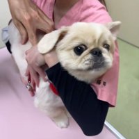 注射を打とうとしたら…